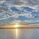 Rob
