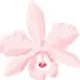 Epacris I.