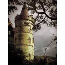 Purplish profile picture