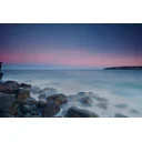 SUZANNE profile picture