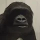 Clive1