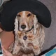 Charlie