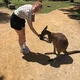 Bizzylizzie