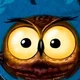 Jenwren