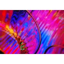 Zabeen profile picture