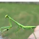 Bill