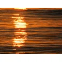 AllyMZ profile picture