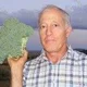Peter Bryan
