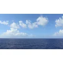 Lauren Seabirds profile picture