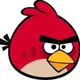 Angry Bird