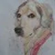 josefina a.