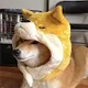 neil.otaku17