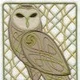 Stolen by Owls
