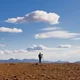 Aussiebloke
