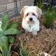 Marnie B.