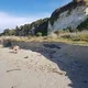 Rosemary Race