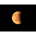 Robyn profile picture