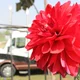 Sudath