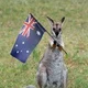aussiebw