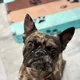 Miche