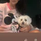donnamarieblair58