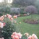 mark.conway.393