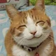 william.w