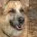 Michal k. profile picture