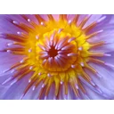 David profile picture