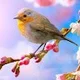 Ananth K.
