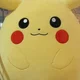 Ash