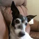 susan.arnold1