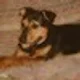 Sascha.