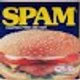 Spam Us S.