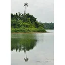 Marky mark profile picture