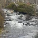 Prue