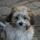 Marley B