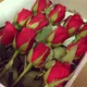 RosesOnlyGroup