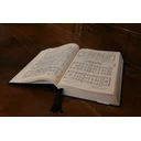 Nelson Devassy profile picture