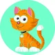 babsncats