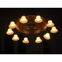 David Ryan profile picture