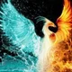 Phoenix M