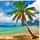 Peanut Place