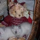 ragdolls