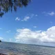 Linda G