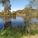 willholmau