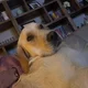 Renae