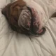 Lulu