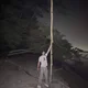 Ryan