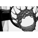 Chris Rhodes profile picture